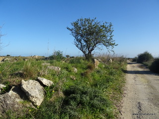 traro-30-12-2021 10-32-14